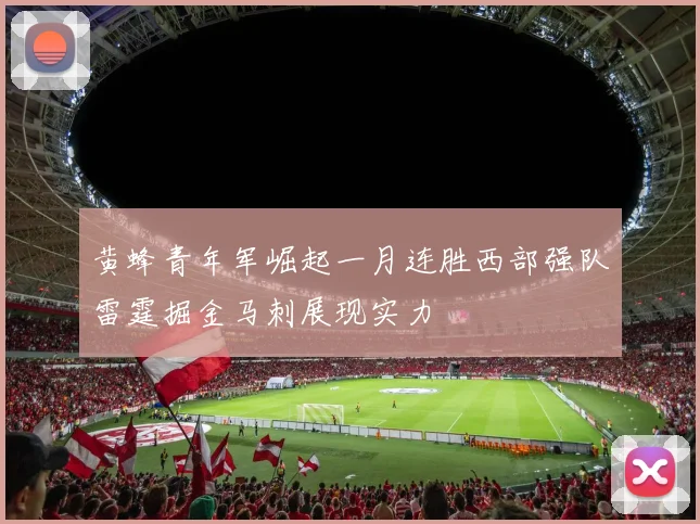 黄蜂青年军崛起一月连胜西部强队雷霆掘金马刺展现实力