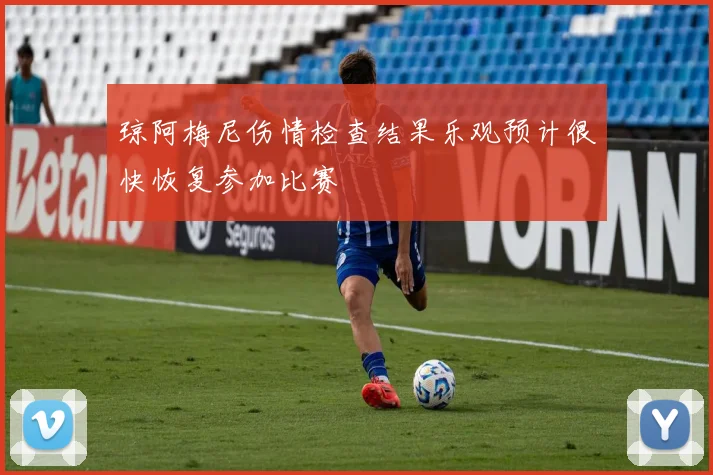琼阿梅尼伤情检查结果乐观预计很快恢复参加比赛