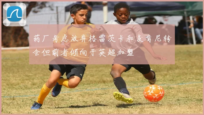 药厂考虑放弃格雷茨卡和麦肯尼转会但前者倾向于英超加盟