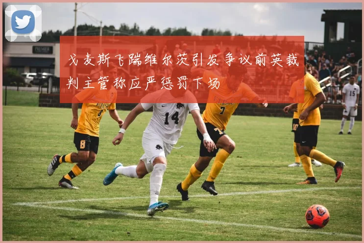 戈麦斯飞踹维尔茨引发争议前英裁判主管称应严惩罚下场