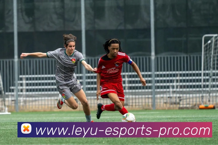 乐鱼体育平台生态图